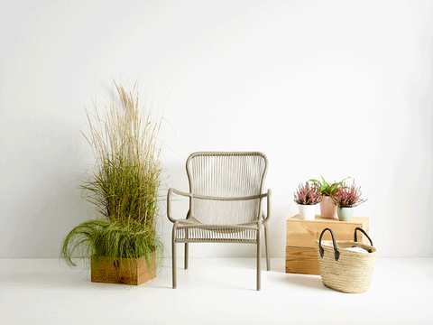 Loop Lounge Chair